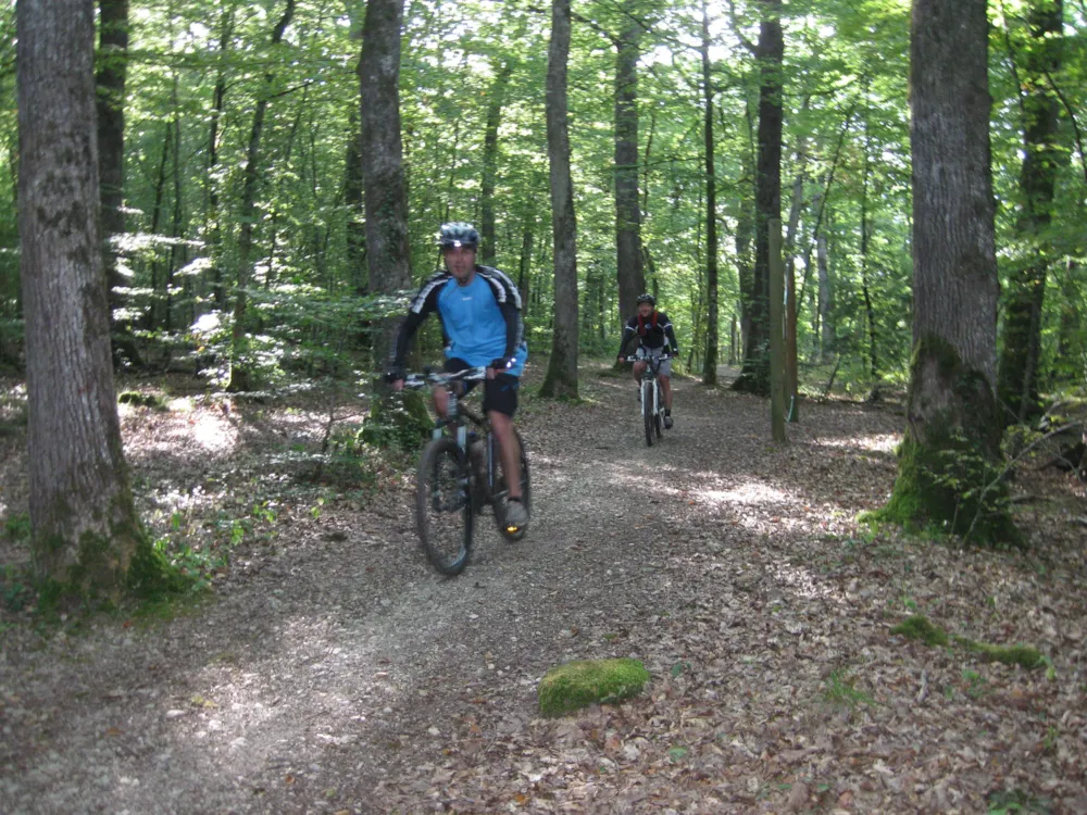 Camping Porte des Vosges