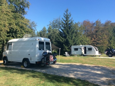 Package: Pitch + car + caravan / camping-car / tent + electricity + Dog — 8