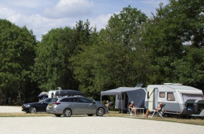 Package: Pitch + car + caravan / camping-car / tent + electricity + Dog — 6