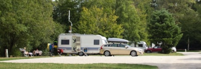 Package: Pitch + car + caravan / camping-car / tent + electricity + Dog — 7