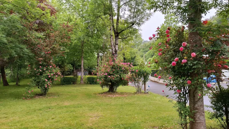 Emplacement Côté Rivière : Voiture + Tente/Caravane Ou Camping-Car