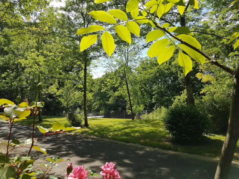 Emplacement Côté Rivière : Voiture + Tente/Caravane Ou Camping-Car