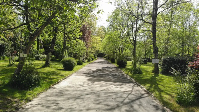 Emplacement : Tente + Vélo