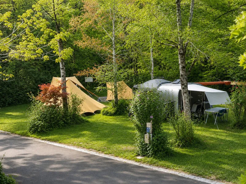 Emplacement Côté Rivière : Voiture + Tente/Caravane Ou Camping-Car