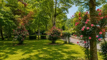 Kampeerplaats(en) - Standplaats : Auto + Tent / Caravan Of Camper - Camping Uhaitza Le Saison