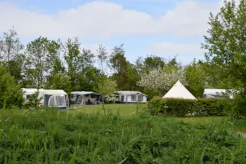 Stellplatz - Stellplatz + Wohnwagen, Zelt Oder Zeltwagen - Camping Robersum