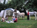 Foto #25 van Camping de Coulvée