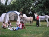 Foto #7 van Camping de Coulvée