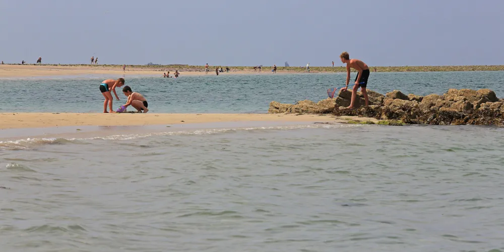 Camping Des Hautes Grées