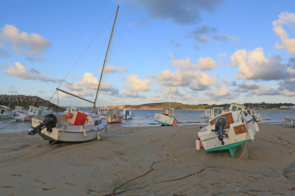 Camping Des Hautes Grées