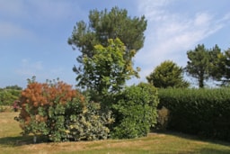 Piazzole - Piazzola Confort  +Elettricità - Camping Des Hautes Grées