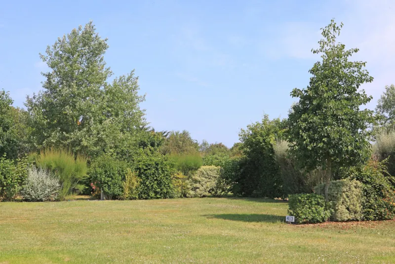 Emplacement Nature Xl Sans Électricité