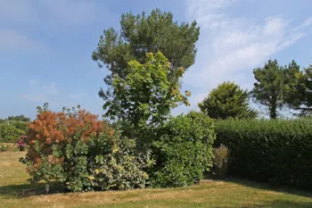 Stellplatz - Stellplatz Komfort Xl Mit 2 Personen (Auto + Wohnwagen Oder Zelt + Strom 10A ) - Camping Des Hautes Grées