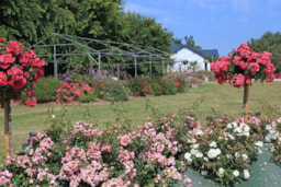 Piazzole - Piazzola Camper Una Notte (2 Adulti + Elettricità 10A) - Camping Des Hautes Grées