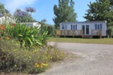 Mobil Home Confort 3 Chambres 6 Pers Avec Terrasse Mobil Home Confort 3 Chambres 6 Pers Avec Terrasse