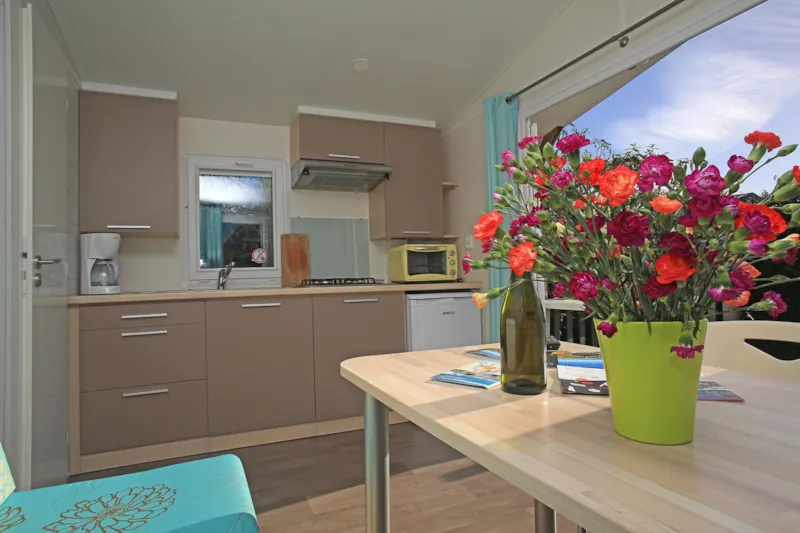 Mobil Home 1 Chambre Avec Terrasse