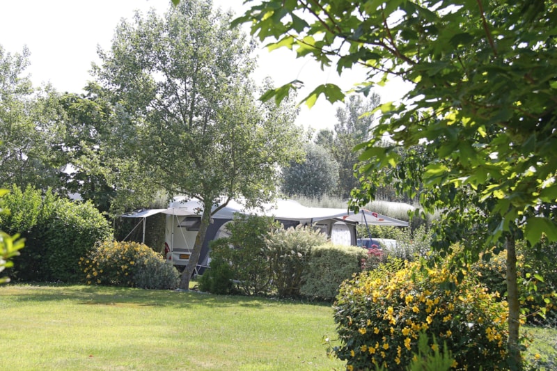 Camping Des Hautes Grées 123 Rue Saint Michel 22430 Erquy