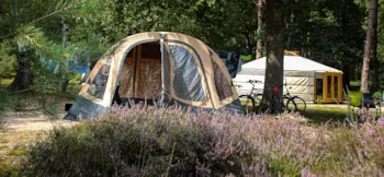 Stellplatz - Campingplatz Moorland - Landgoedcamping Het Meuleman