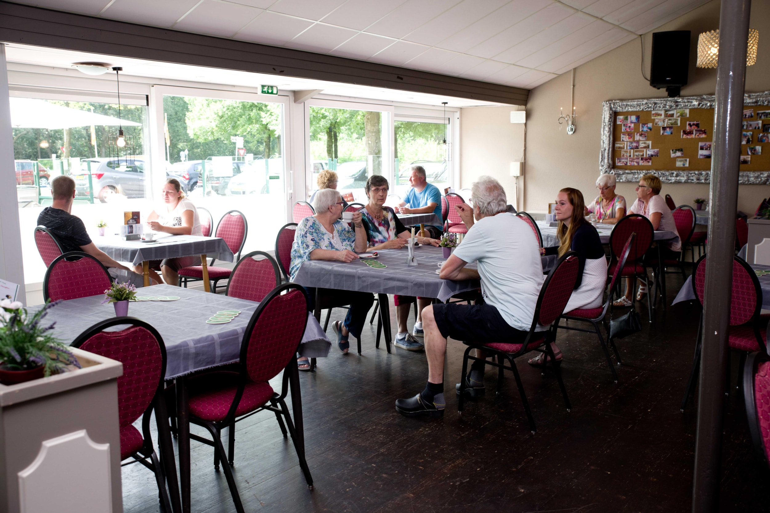 Camping De Tien Heugten — Photo 9