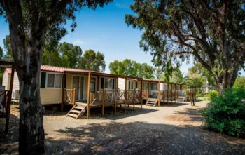 New Camping Le Tamerici - image n°3 - Camping Direct