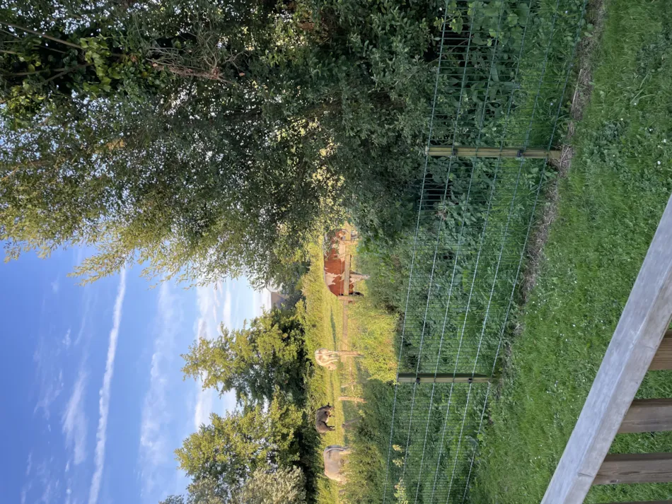 Camping La Venise de l'Ouest