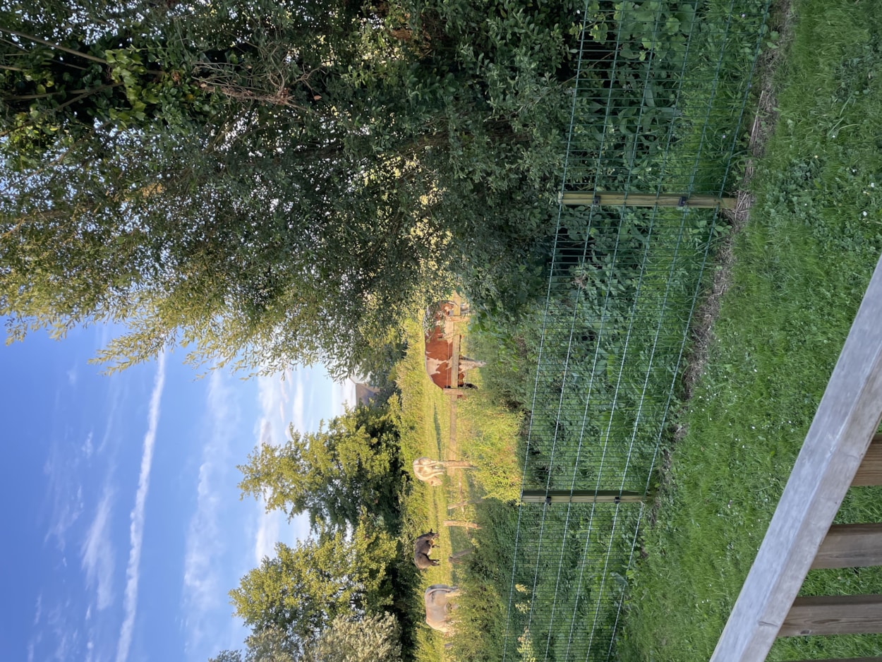 Camping La Venise de l'Ouest