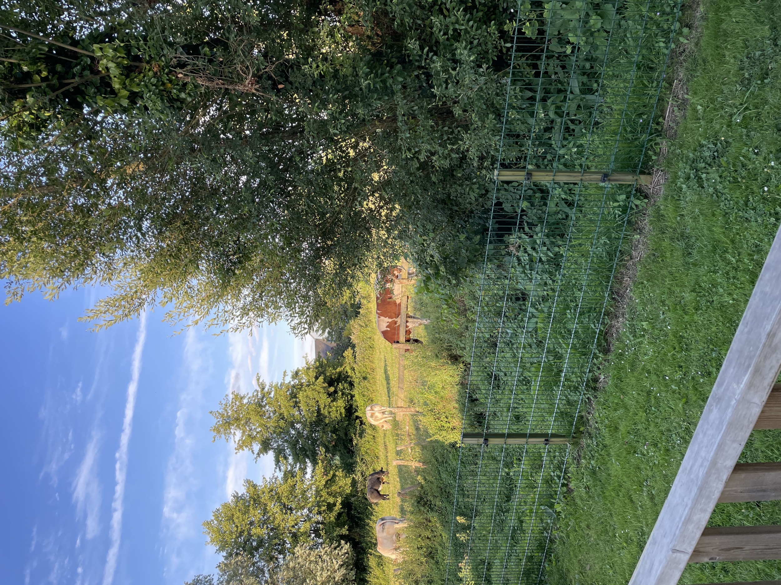 Camping La Venise de l'Ouest — Foto 5