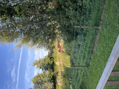 Camping La Venise de l'Ouest