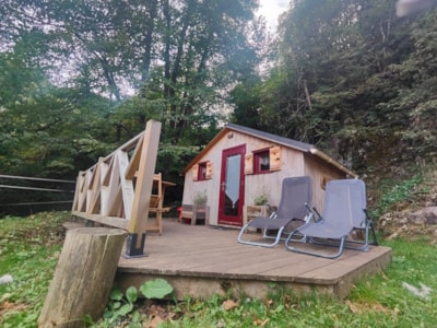 Forest cabin
