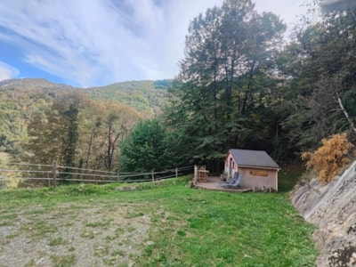 Forest cabin