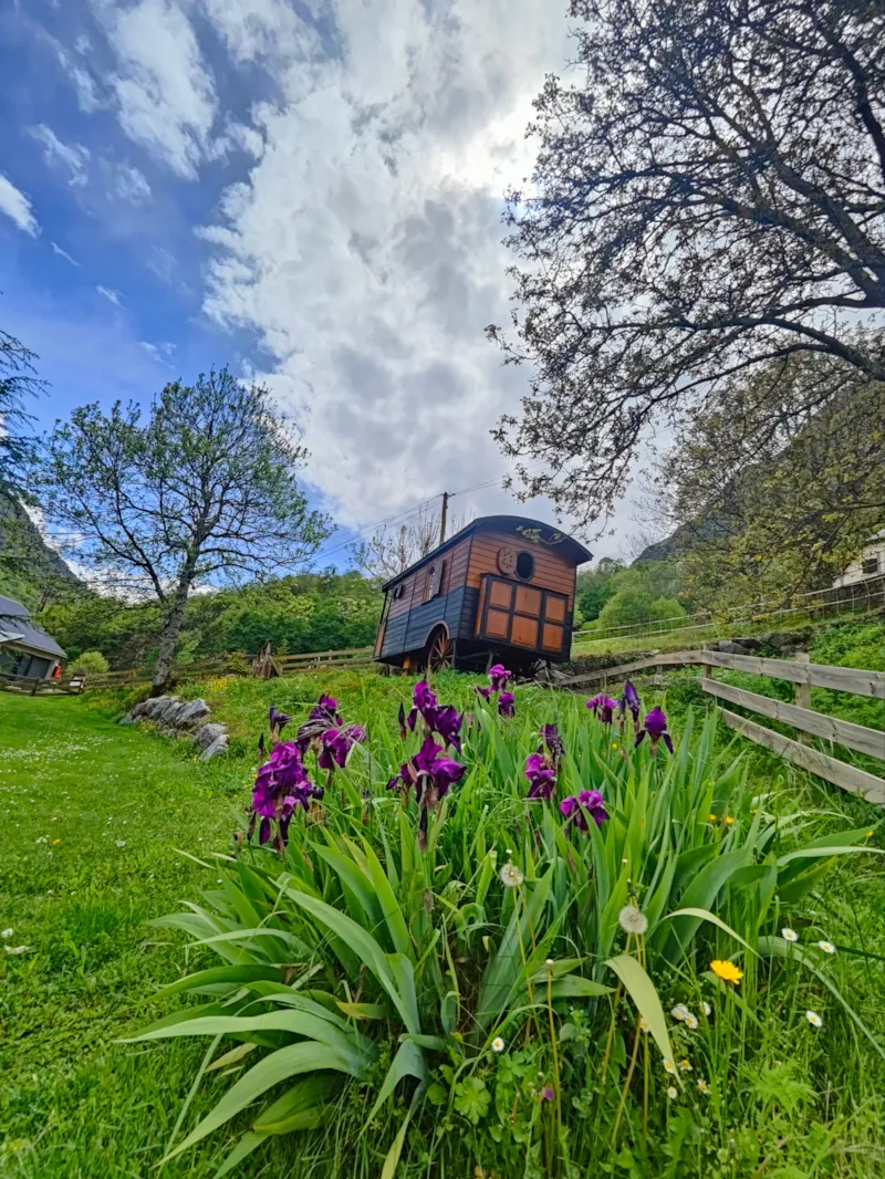 Roulotte Gentiane 12 M²