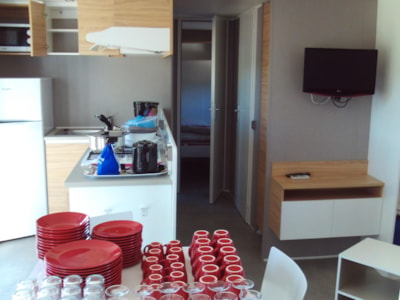 Mobil-home Luxe - 40 m² - 3 bedrooms- 2 toilets / 2 bathrooms - Air conditioning / Dishwasher