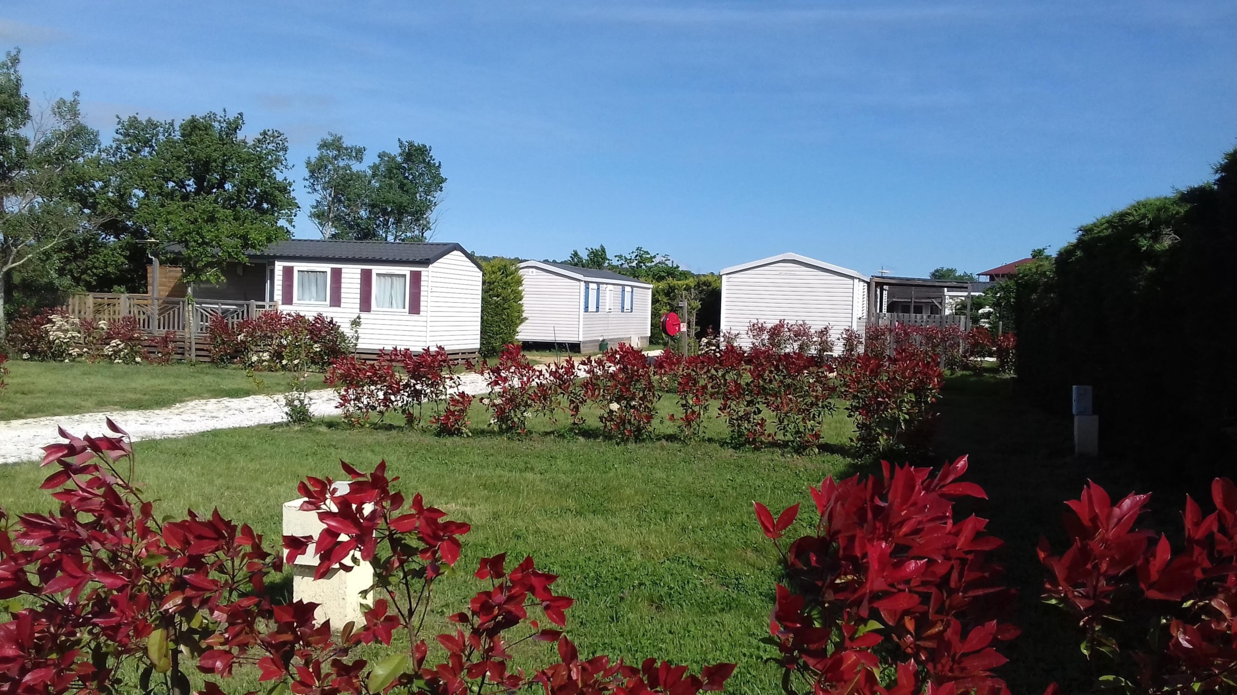 Camping Mas Llinas — Foto 6