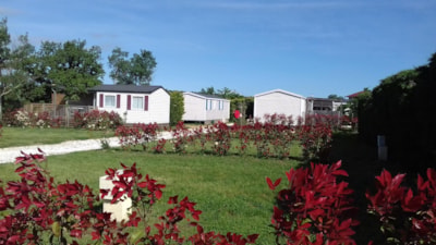 Camping Mas Llinas
