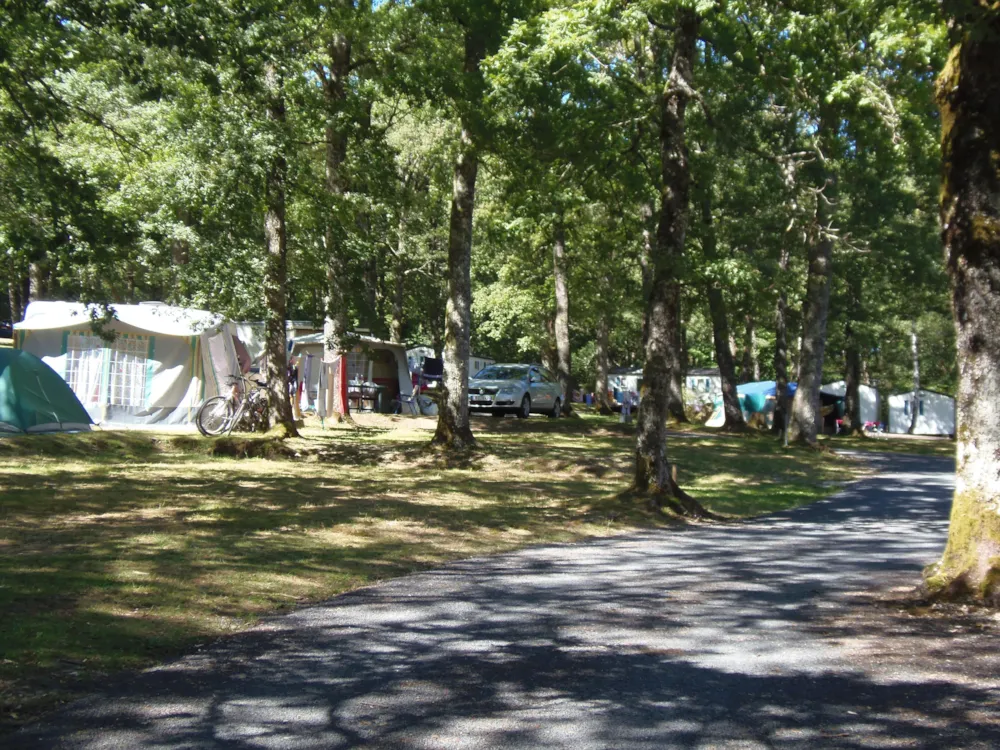 Dagarrangement: tent, caravan + 1 voertuig en camper met 16A-elektriciteit