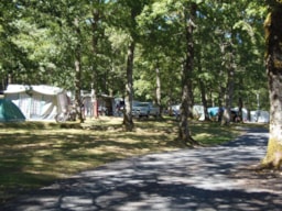 Pitch - Daily Package: Tent, Caravan + 1 Vehicle And Camping Car With 16A Electricity - Camping LES 3 SOURCES