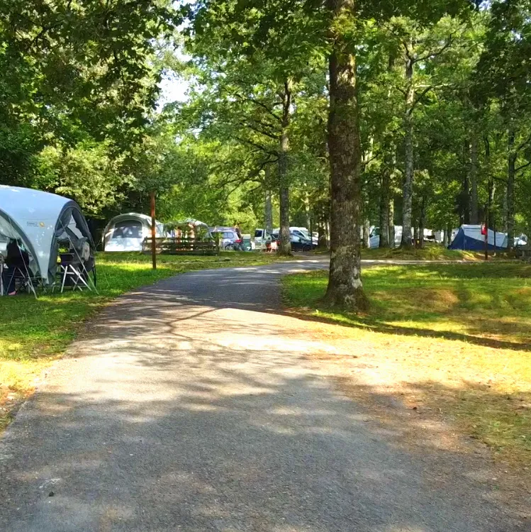 Emplacement - Emplacement Standard - CAMPING LES 3 SOURCES MAEVA ESCAPADES