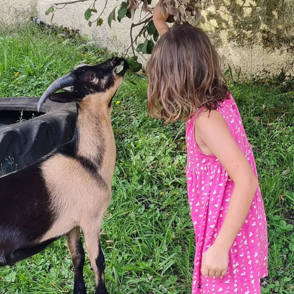 CAMPING LES 3 SOURCES MAEVA ESCAPADES