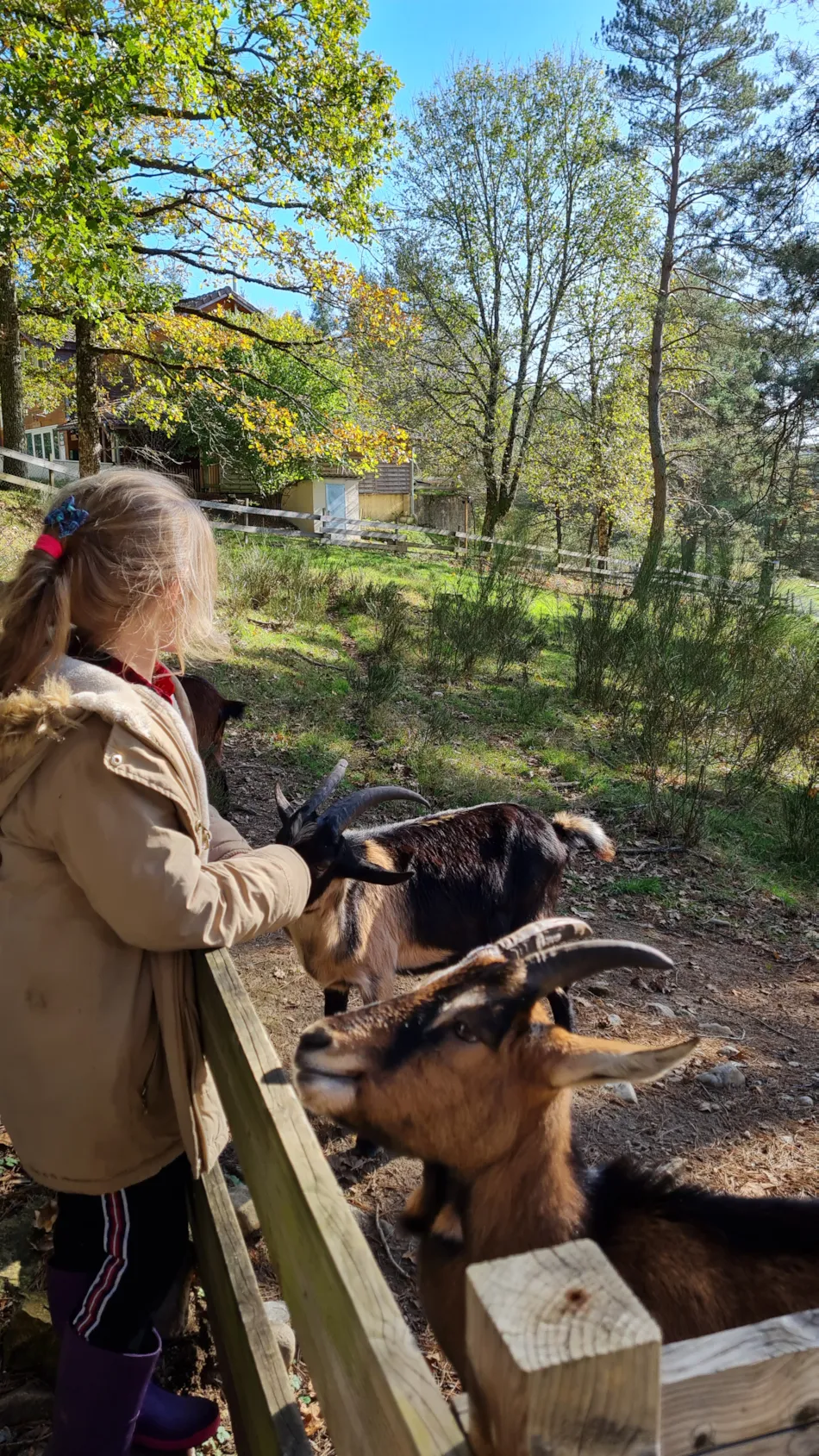 CAMPING LES 3 SOURCES MAEVA ESCAPADES