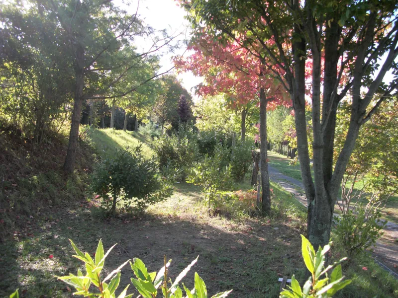 Emplacement Tente Ou Caravane 10/40 M²