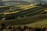 Foto #30 van Camping Panorama del Chianti