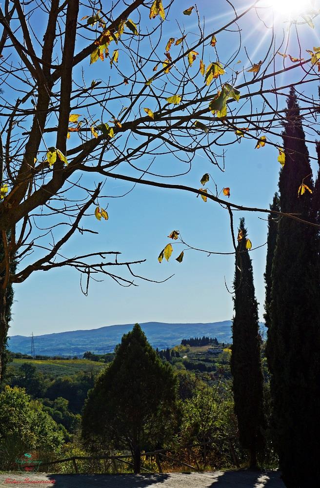 Camping Panorama del Chianti - Toscana - Immagine n°5 Camping Panorama del Chianti - Toscana - Immagine n°5