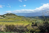 Foto #32 van Camping Panorama del Chianti