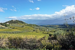 Camping Panorama del Chianti - image n°32 - Roulottes