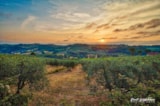 Foto #29 van Camping Panorama del Chianti