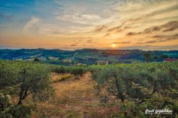 Camping Panorama del Chianti - image n°29 - Roulottes