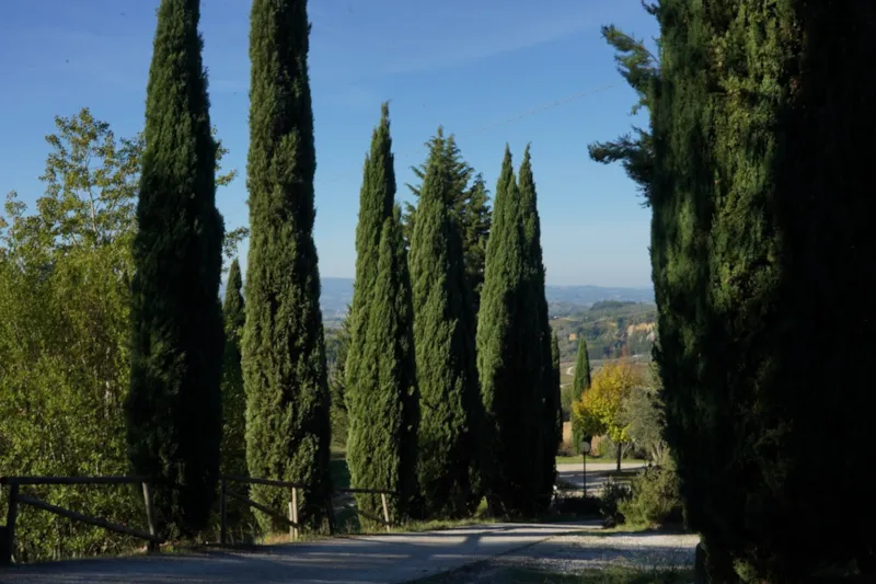 Emplacement Voiture + Tente Ou Caravane Ou Camping-Car  40/80 M²