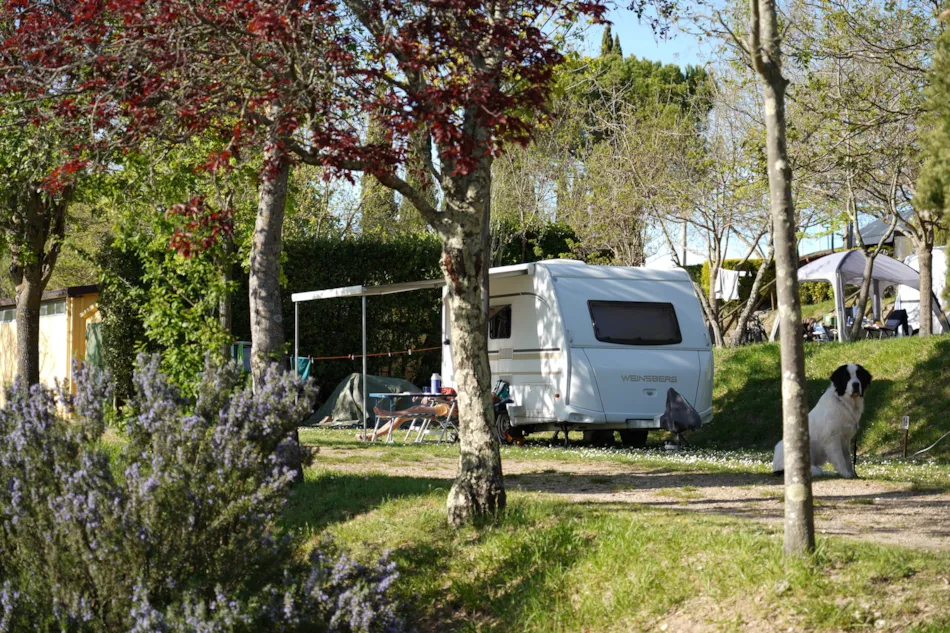 Camping Panorama del Chianti