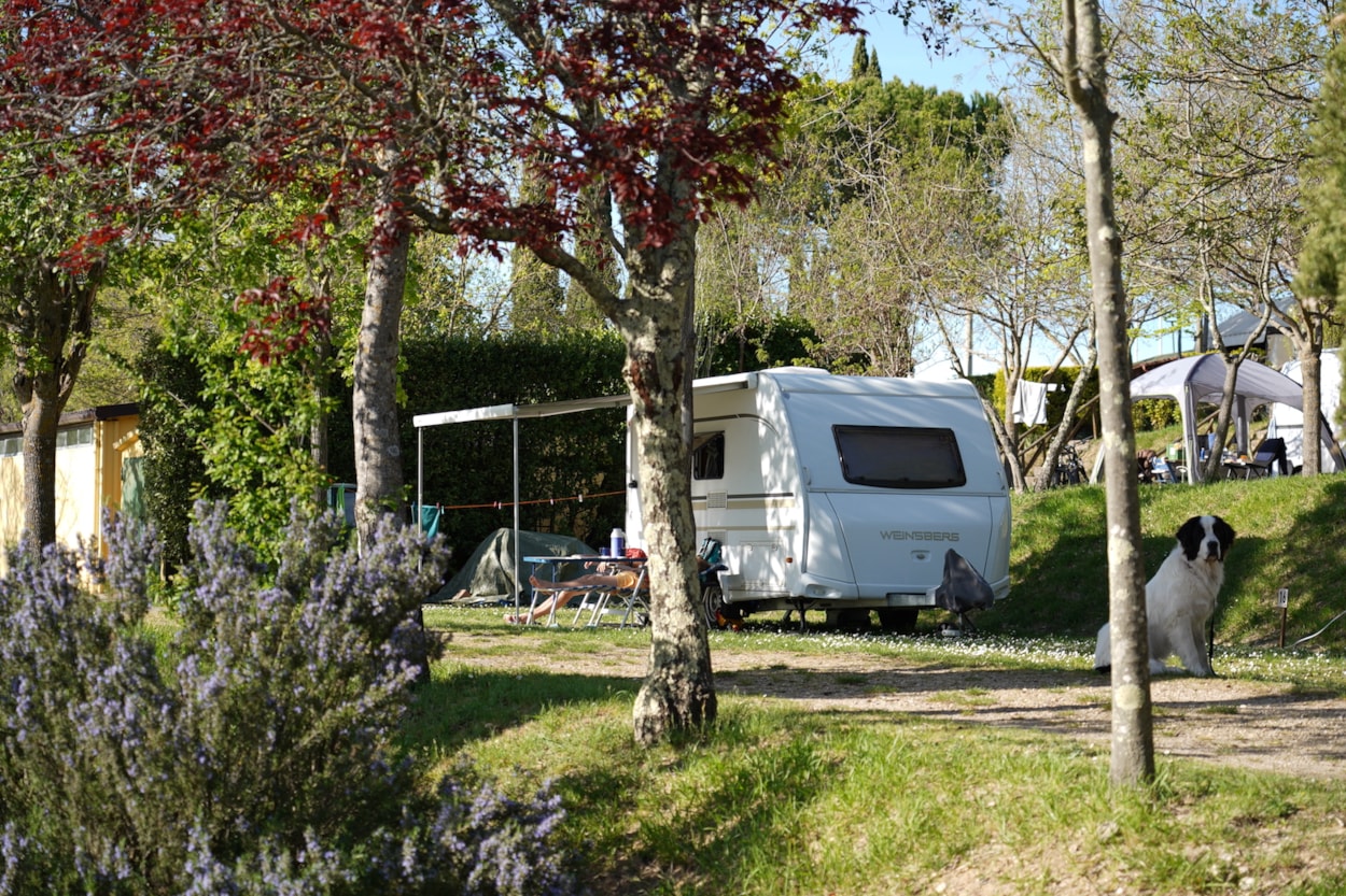 Camping Panorama del Chianti