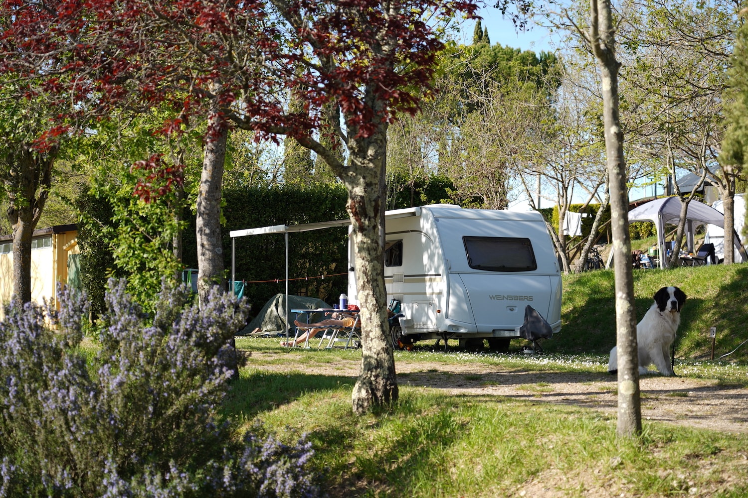 Camping Panorama del Chianti — Foto 5